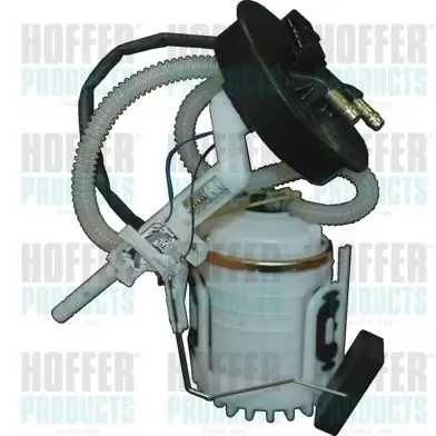 Unité d'injection de carburant HOFFER 7506414 C